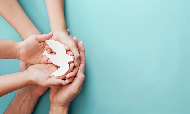 Adult and child hands holding white dove bird on blue background, international day of peace or world peace day concept, sustainable consumption, csr responsible business concept